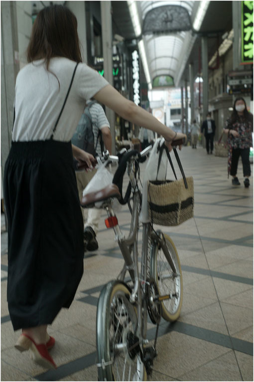 877 プレゼンテーション(2020年6月12日バルター50mmf2.3奈良町を落ち着いて見回し)日光、月光哀れ _c0168172_11521753.jpg