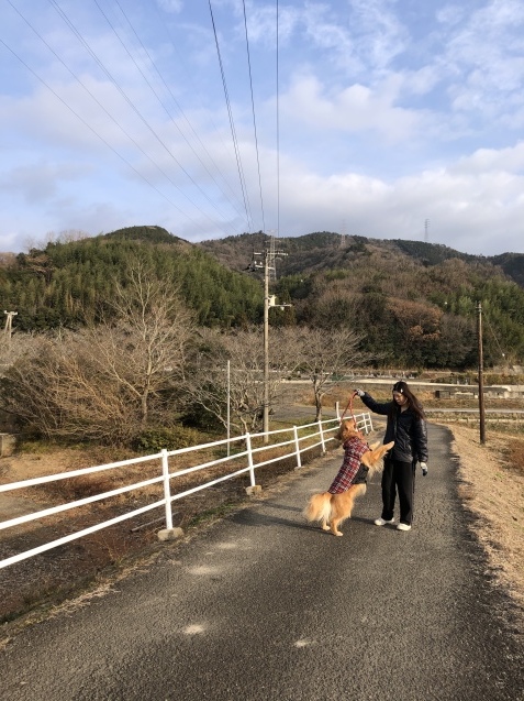 流れに任せる。_a0394574_12414915.jpeg