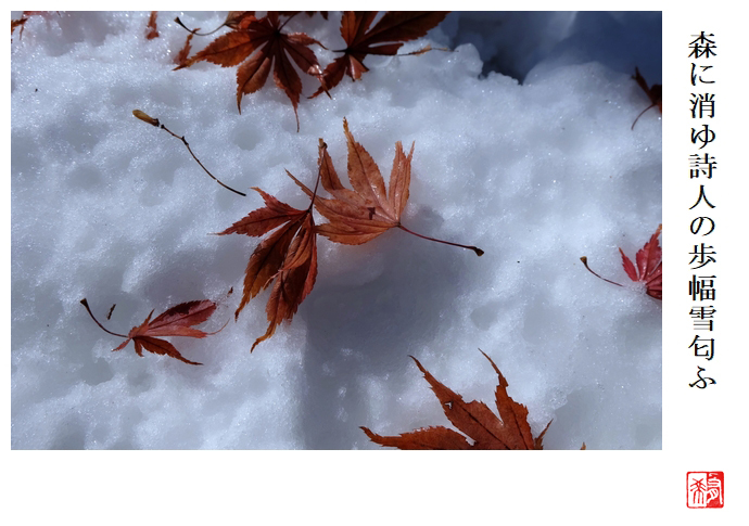 森に消ゆ詩人の歩幅雪匂ふ_a0248481_21123868.jpg