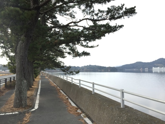 浜名湖サイクリング_f0084492_10572818.jpeg