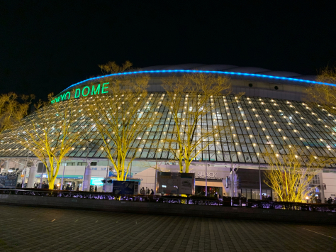お正月恒例の、新日本プロレス東京ドーム大会。_a0112393_12271878.jpg