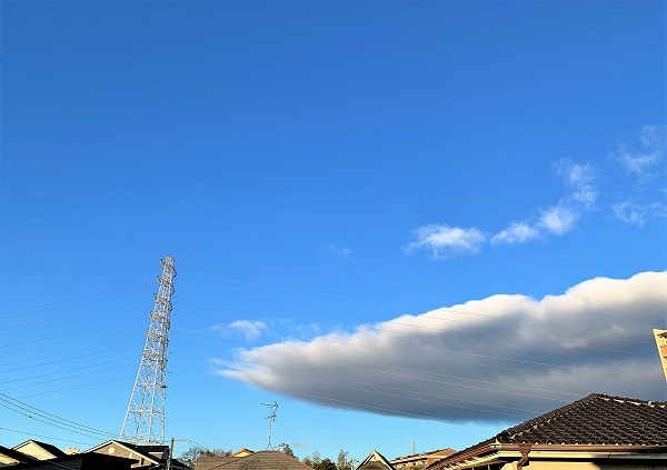 目の前にジンベイザメ?! と おうちごはんです♪_d0249193_00072385.jpg