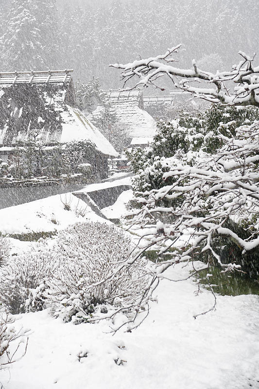 雪景色@美山茅葺きの里　其の一_f0032011_19053879.jpg