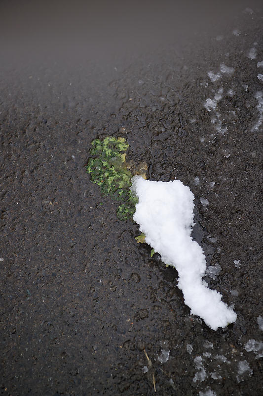 雪景色@美山茅葺きの里　其の一_f0032011_19053956.jpg