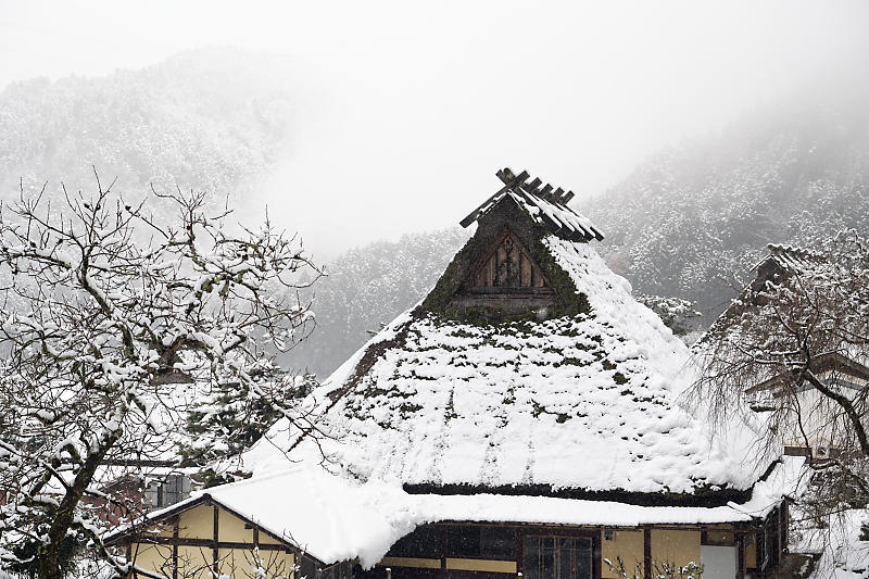 雪景色@美山茅葺きの里　其の一_f0032011_19103153.jpg