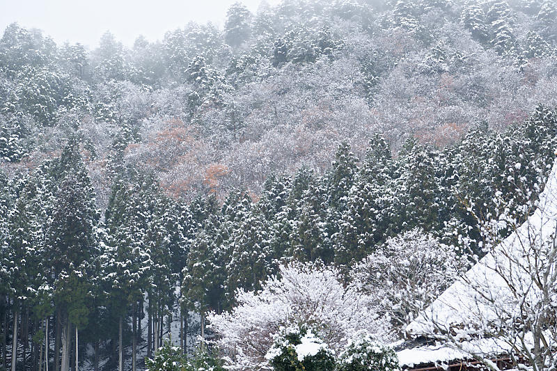 雪景色@美山茅葺きの里 其の二_f0032011_20410824.jpg