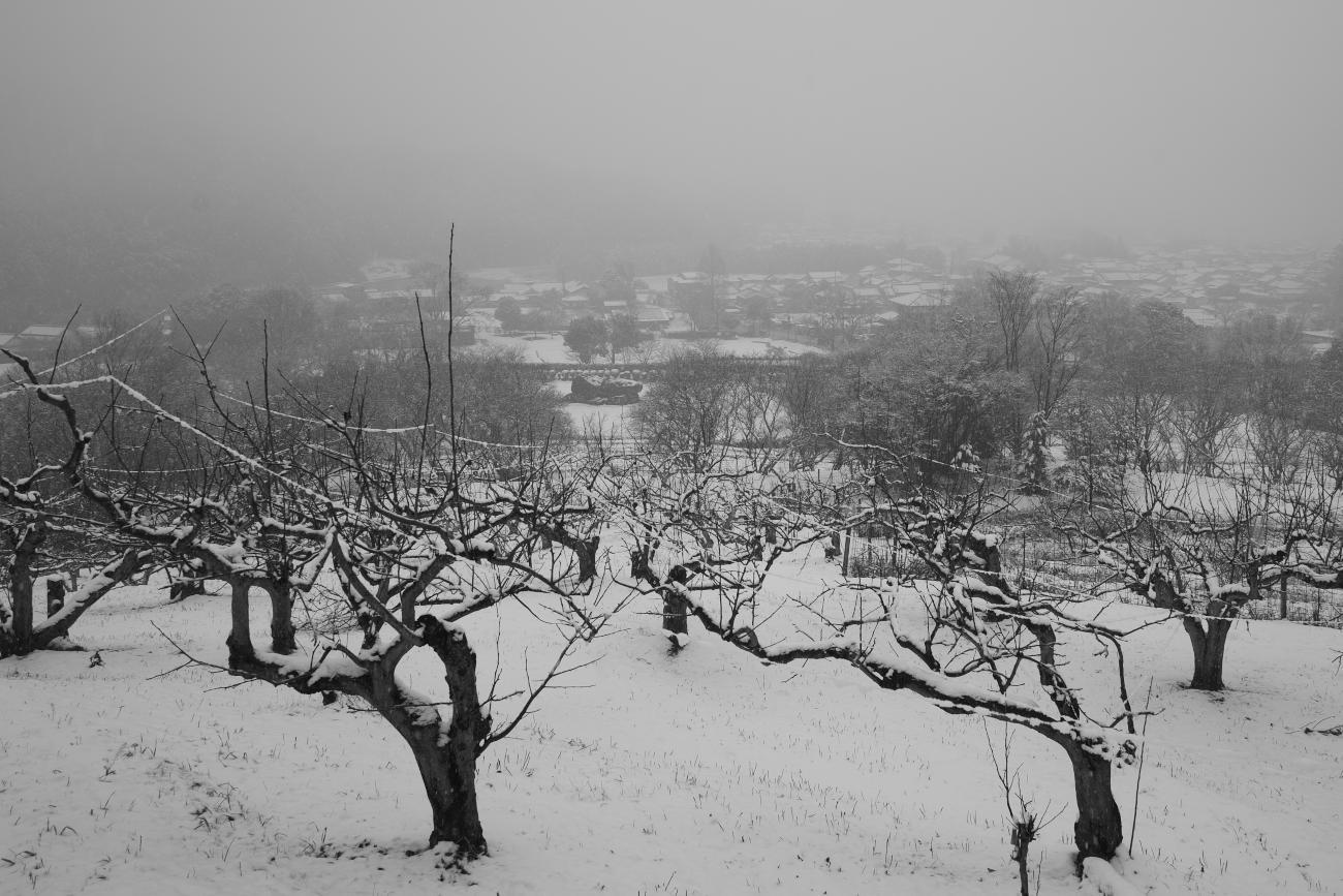 　雪景色の明日香_b0408917_07242612.jpg