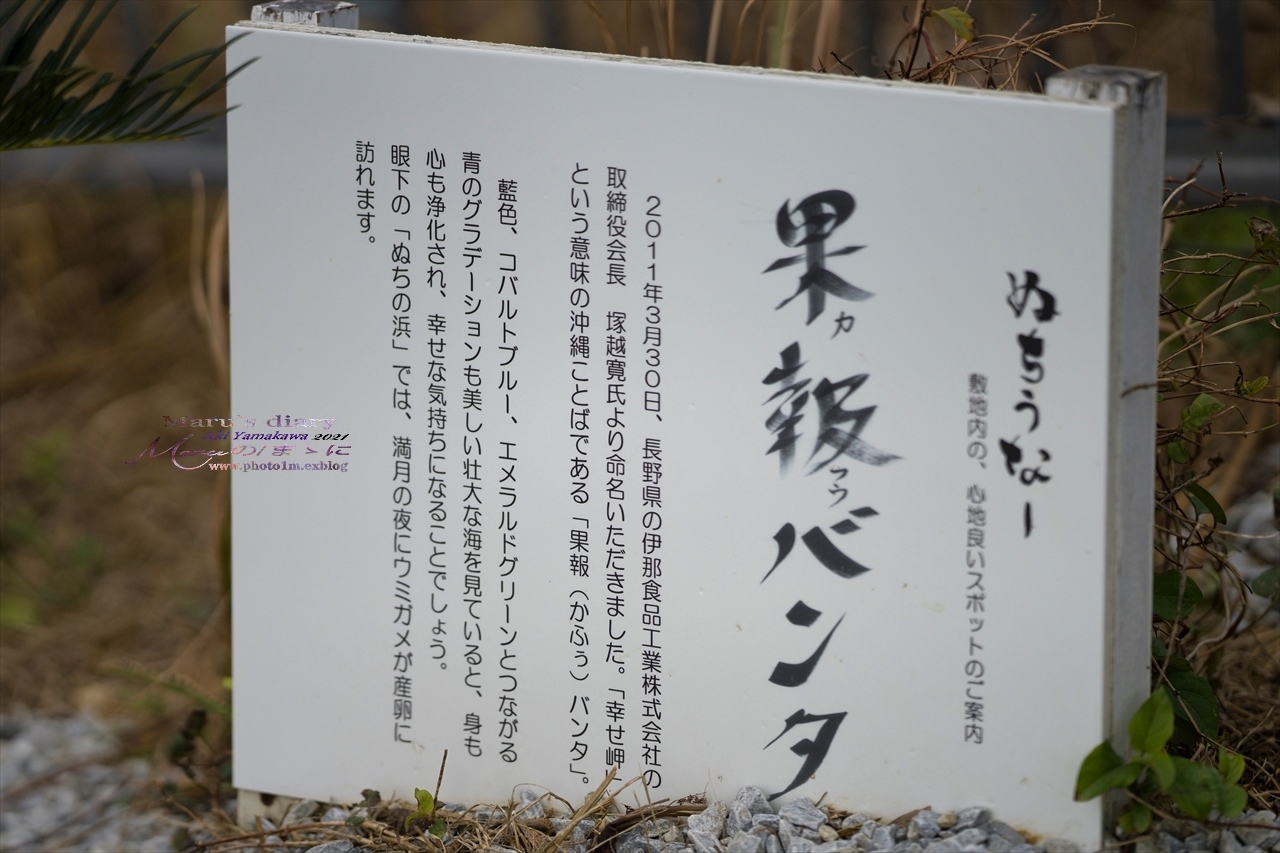 まゝに/1月の散歩スナップ・ 果報(かふう)バンタ_d0342426_13111626.jpg