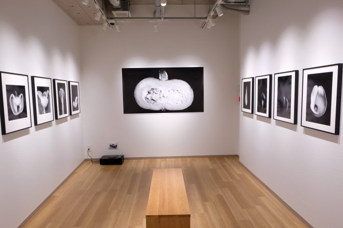 Katachi 写真展 仕掛け_f0050534_20370732.jpg