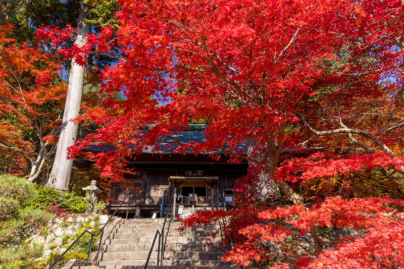 2020紅葉きらめく丹波　彩りの大國寺_f0155048_23002592.jpg