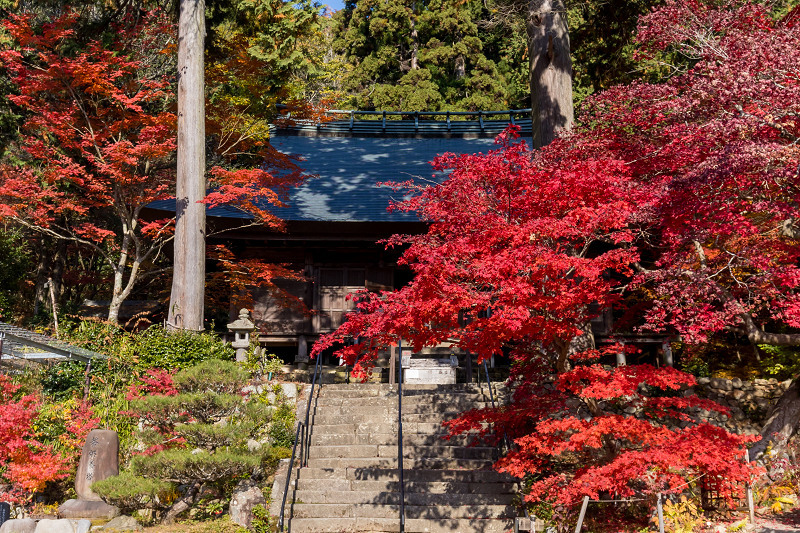 2020紅葉きらめく丹波　彩りの大國寺_f0155048_23003792.jpg