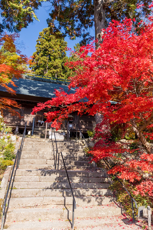 2020紅葉きらめく丹波　彩りの大國寺_f0155048_23004473.jpg