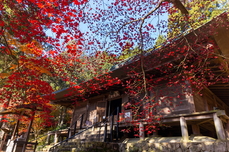 2020紅葉きらめく丹波　彩りの大國寺_f0155048_23010721.jpg