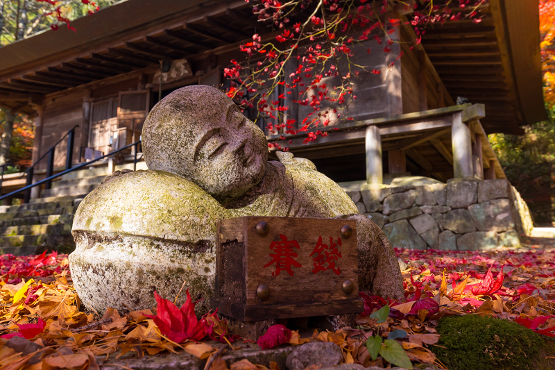 2020紅葉きらめく丹波　彩りの大國寺_f0155048_23011043.jpg