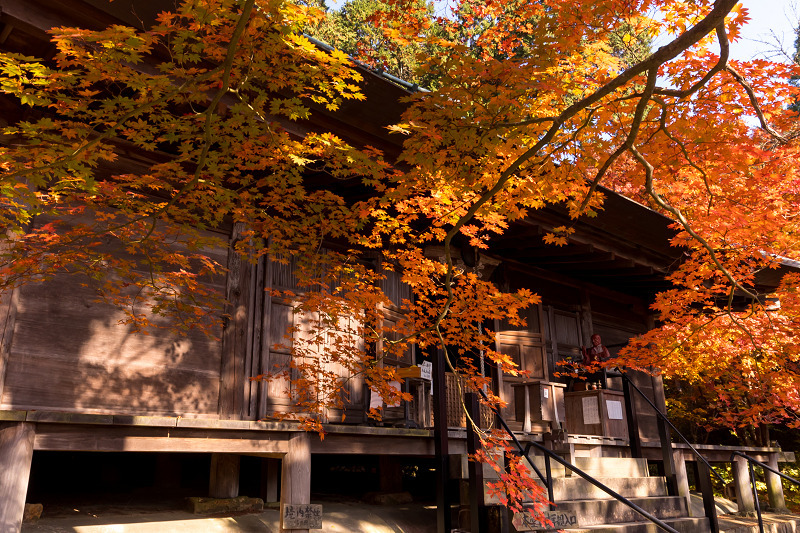 2020紅葉きらめく丹波　彩りの大國寺_f0155048_23012858.jpg