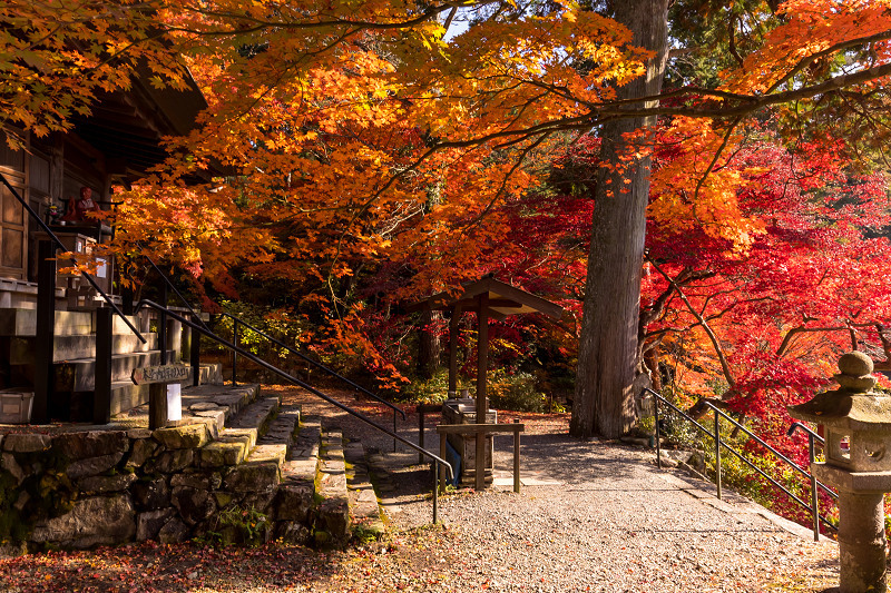 2020紅葉きらめく丹波　彩りの大國寺_f0155048_23014203.jpg