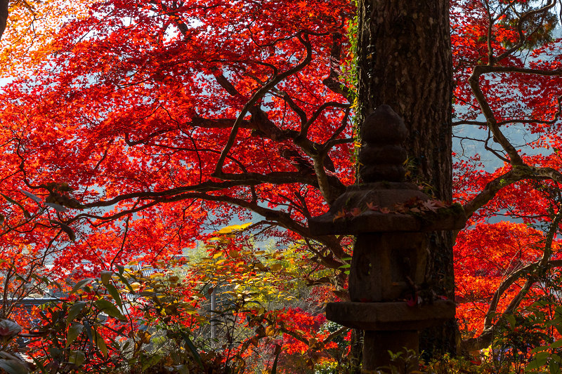 2020紅葉きらめく丹波　彩りの大國寺_f0155048_23023668.jpg
