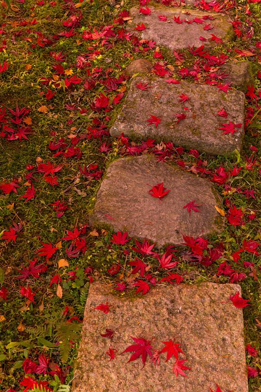 2020紅葉きらめく丹波　彩りの大國寺_f0155048_23025636.jpg
