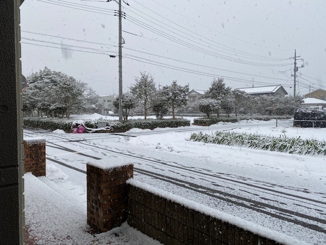 また降ってきちゃった〜_d0131255_07591387.jpg