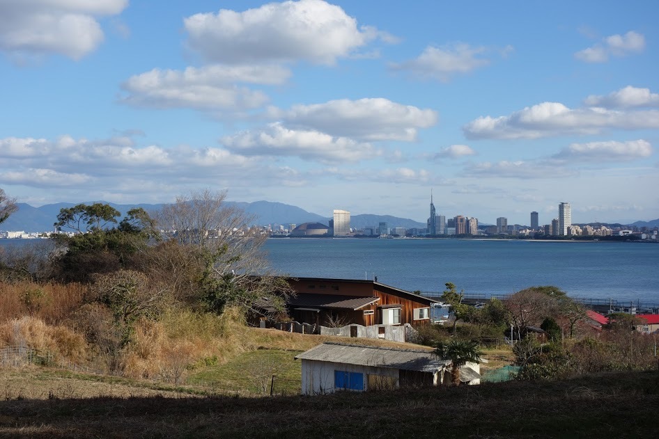 2021/1/17 今日の島暮らし/「カバちゃん焼き」まもなく!_f0201157_10552602.jpg