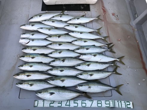 青物　釣果_b0185158_05202121.jpeg