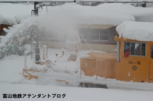 令和3年1月……大雪でした_a0243562_14125418.jpg