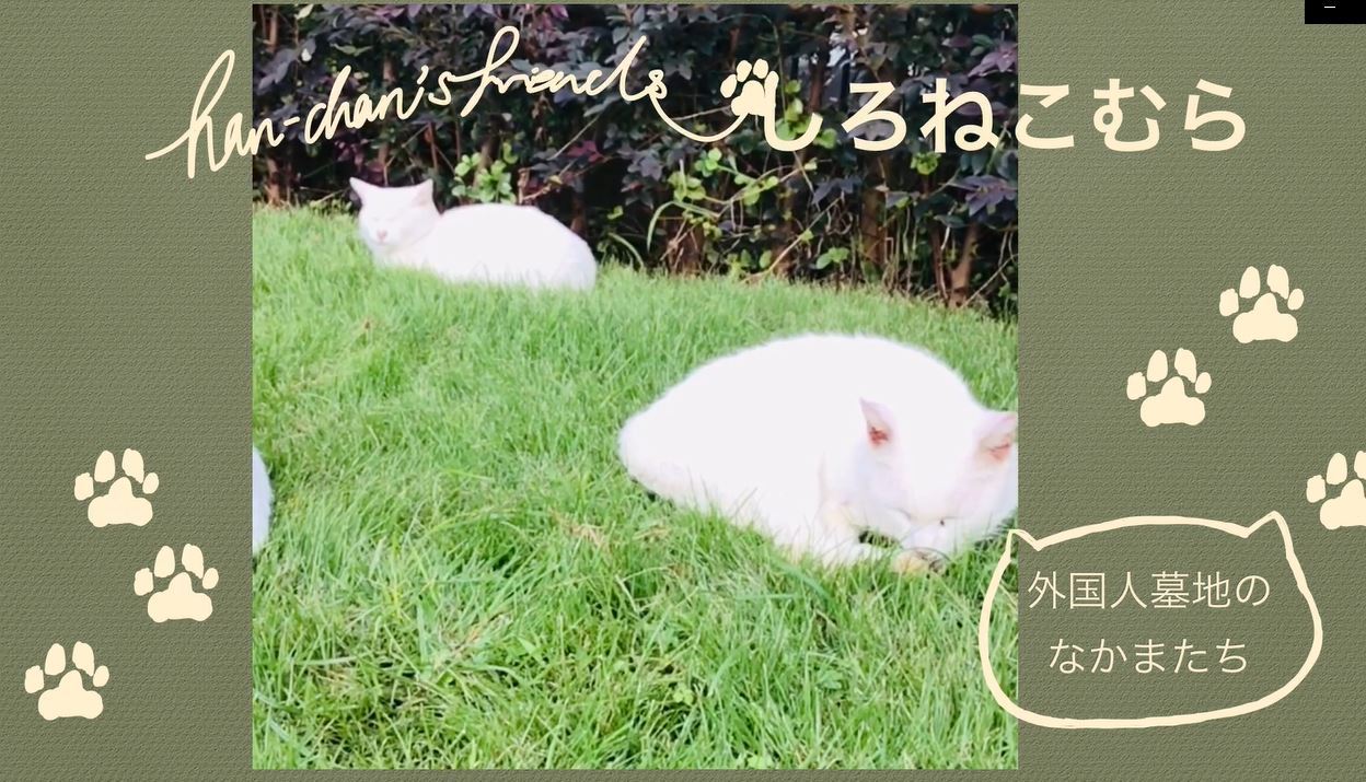 全館猫尽くしを楽しむ10の方法 その5_b0134195_09585864.jpg