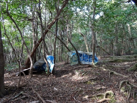 中古】埋もれていた朝倉文化 : 甘木・朝倉地方の発掘調査報告