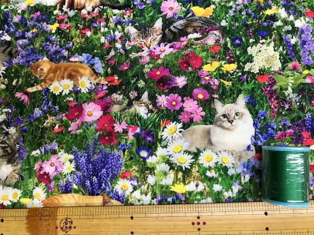 布「お花畑に猫」リアルプリント_d0156706_13351358.jpg