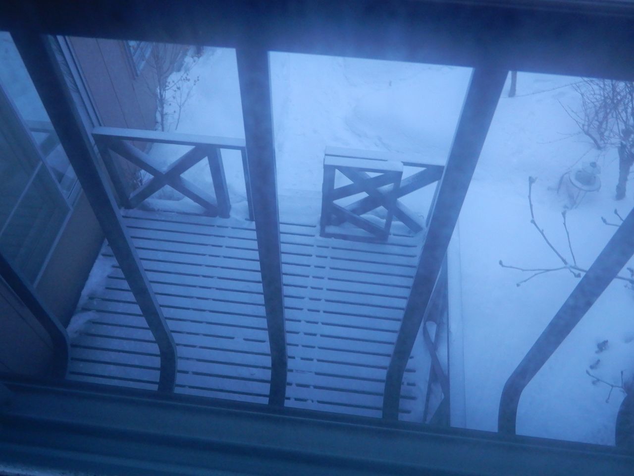 久しぶりの本格的降雪_c0025115_21142175.jpg