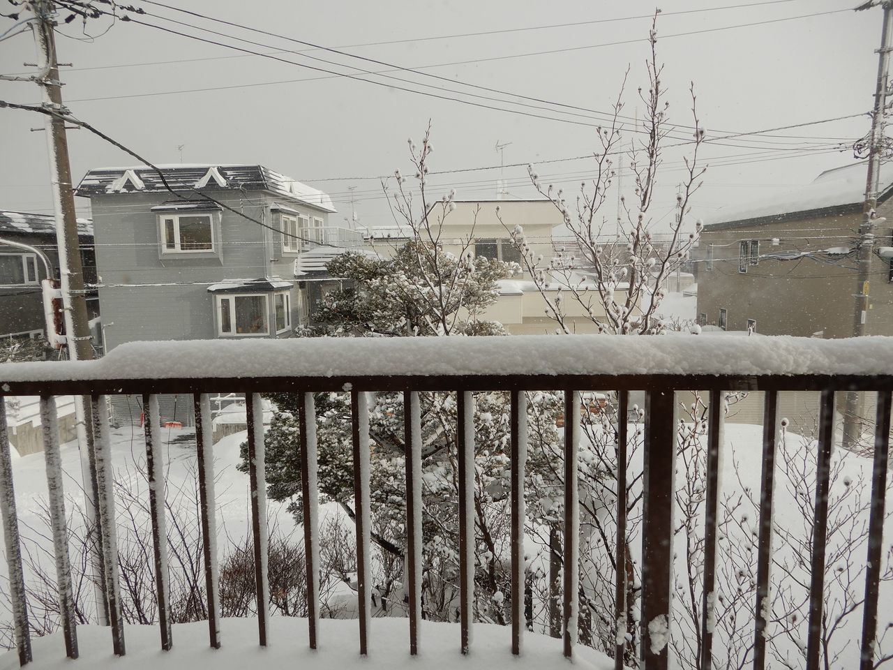 久しぶりの本格的降雪_c0025115_21213936.jpg
