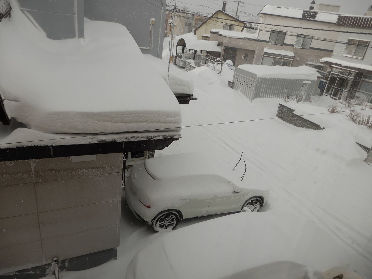 久しぶりの本格的降雪_c0025115_21241293.jpg