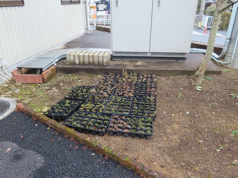 スバルアルシオーネベースの改善完了_f0076731_21263710.jpg