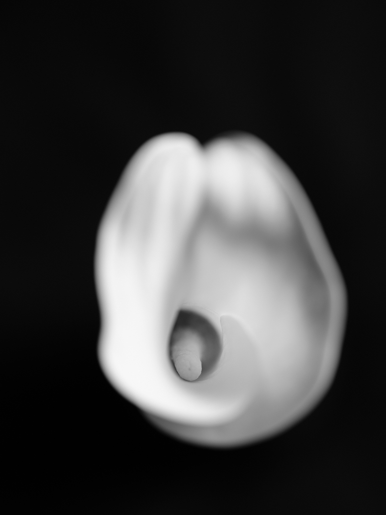 Katachi図録 通販いたします_f0050534_13380139.jpg