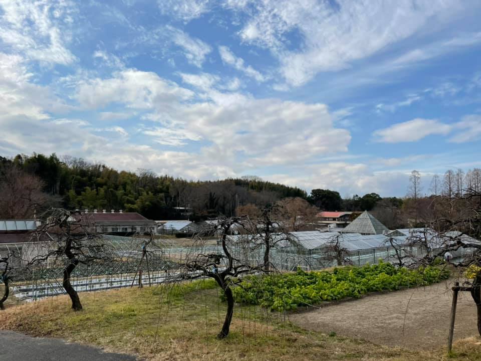 農業センターへ行ってきました♪_f0373339_09191948.jpg