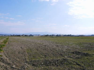 熊本県菊池市七城町「砂田のこだわりれんげ米」大好評販売中!令和3年の栽培の様子!れんげの発芽_a0254656_17102648.jpg