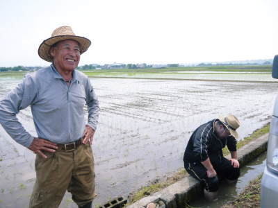 熊本県菊池市七城町「砂田のこだわりれんげ米」大好評販売中!令和3年の栽培の様子!れんげの発芽_a0254656_17194863.jpg