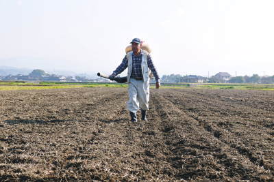 熊本県菊池市七城町「砂田のこだわりれんげ米」大好評販売中!令和3年の栽培の様子!れんげの発芽_a0254656_17351442.jpg