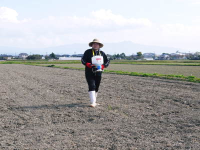 熊本県菊池市七城町「砂田のこだわりれんげ米」大好評販売中!令和3年の栽培の様子!れんげの発芽_a0254656_17374841.jpg