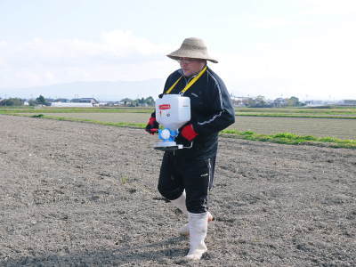 熊本県菊池市七城町「砂田のこだわりれんげ米」大好評販売中!令和3年の栽培の様子!れんげの発芽_a0254656_17395646.jpg