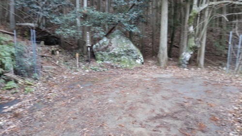 メガネぱぱの山歩き　干支の山　牛草山　日向コース　2021.1.14_c0347756_12045429.jpg