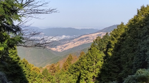 メガネぱぱの山歩き　干支の山　牛草山　日向コース　2021.1.14_c0347756_13071491.jpg