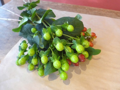 花修行~グリーンとレッドの食べられないサラダ~_f0232060_23223359.jpg