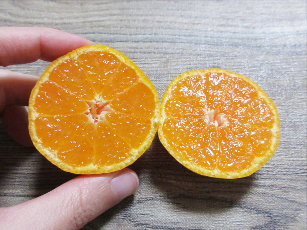 西宇和みかん_c0152767_20343252.jpg