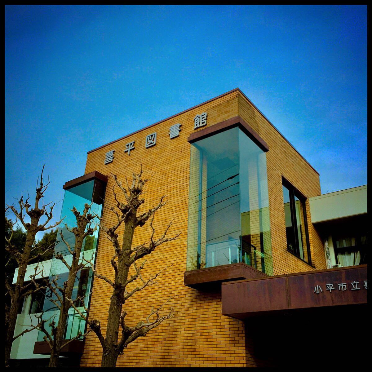 1月19日 火 どこでもドアとしての図書館 毎日jogjob日誌 By東良美季 1月19日 火 どこでもドアとしての図書館 毎日jogjob日誌 By東良美季
