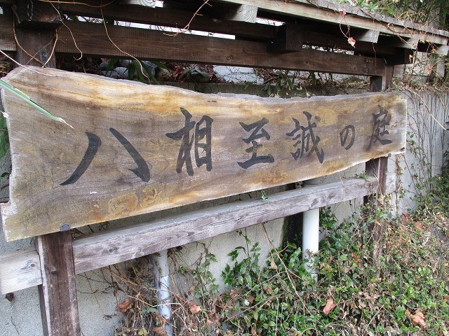水が引かれる夏が楽しみな「鮫島ビオトープ」 田子浦地区をウォーキング_f0141310_08113288.jpg