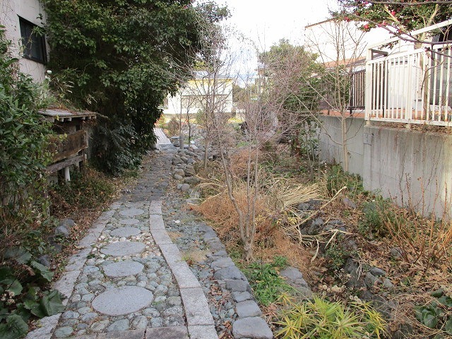水が引かれる夏が楽しみな「鮫島ビオトープ」 田子浦地区をウォーキング_f0141310_08115406.jpg