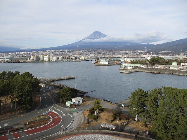 水が引かれる夏が楽しみな「鮫島ビオトープ」 田子浦地区をウォーキング_f0141310_08120748.jpg