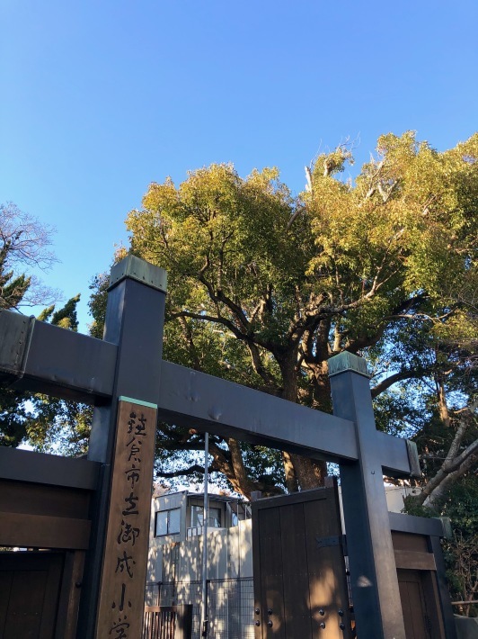 ブルー_a0395626_23072764.jpeg