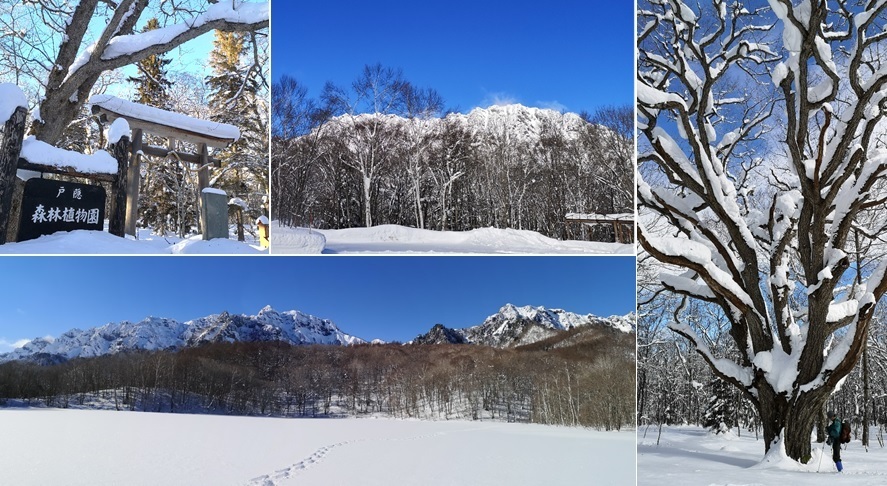戸隠でスキー_a0212730_22433677.jpg